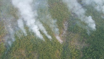Дождот изгасна дел од пожарите во Македонија Дождот изгасна дел од пожарите во Македонија