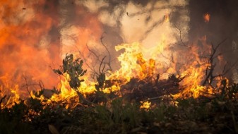 Локализиран големиот шумски пожар во Кривопаланечко Локализиран големиот шумски пожар во Кривопаланечко