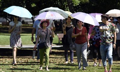 japonija, zesko vreme, visoki temperaturu