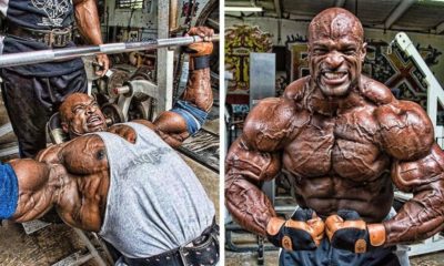 steroidi i tegovi se stetni po zdravjeto