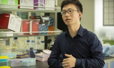 genetski modificirani bebinja